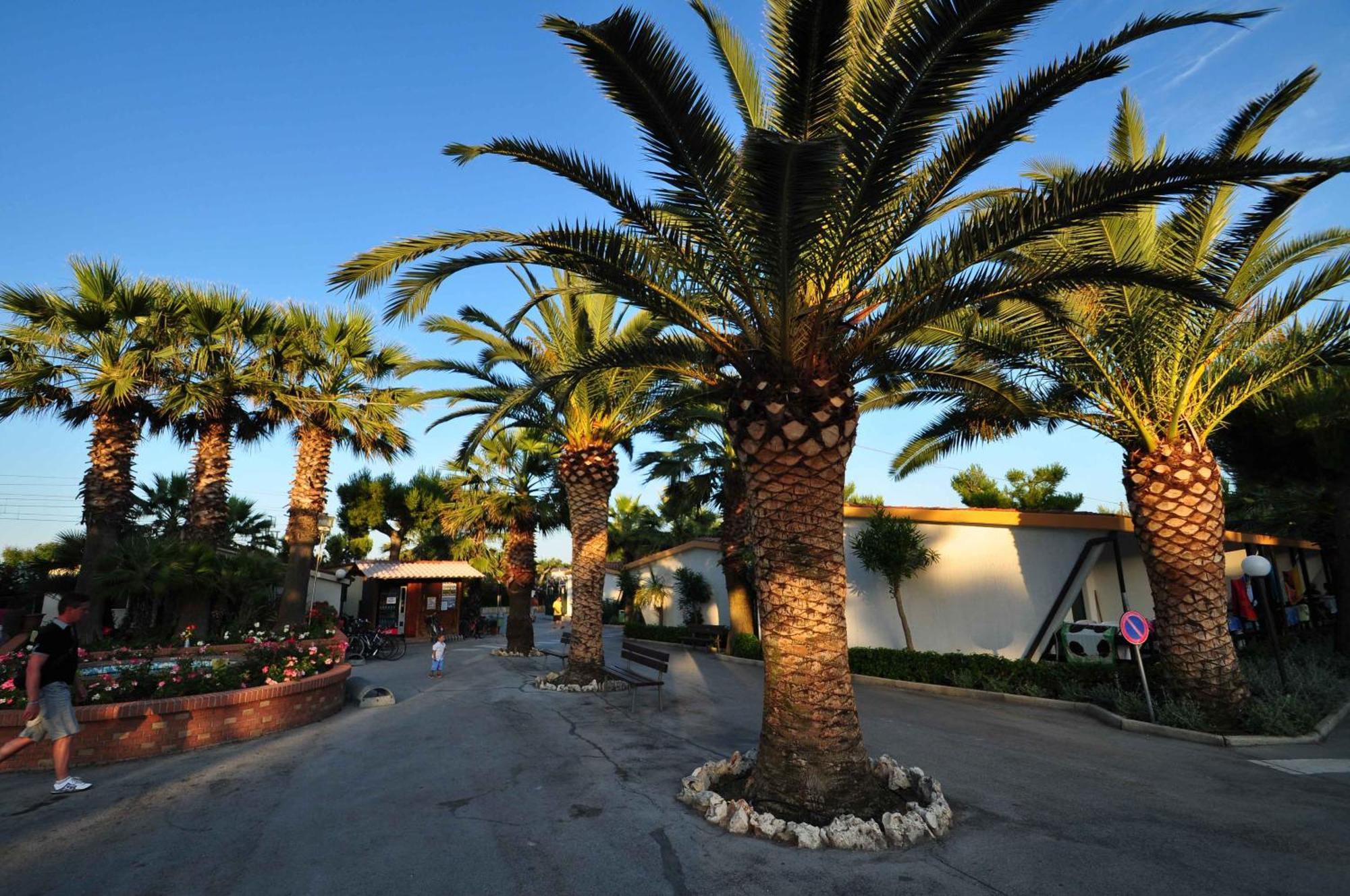 Camping Villaggio Calypso Cupra Marittima Exterior photo